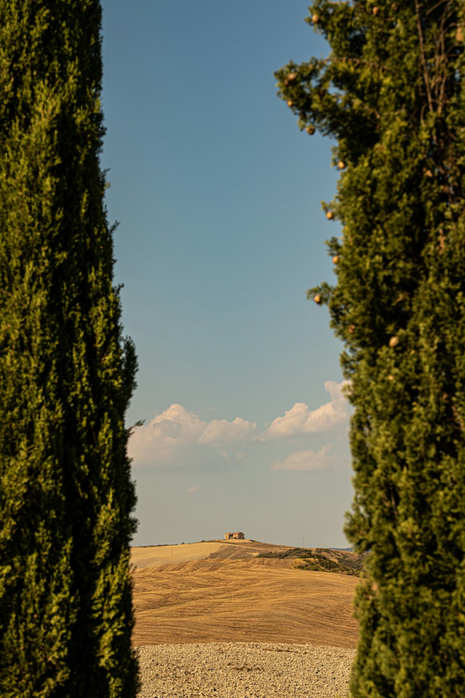Rolling hills with golden fields and a distant house.