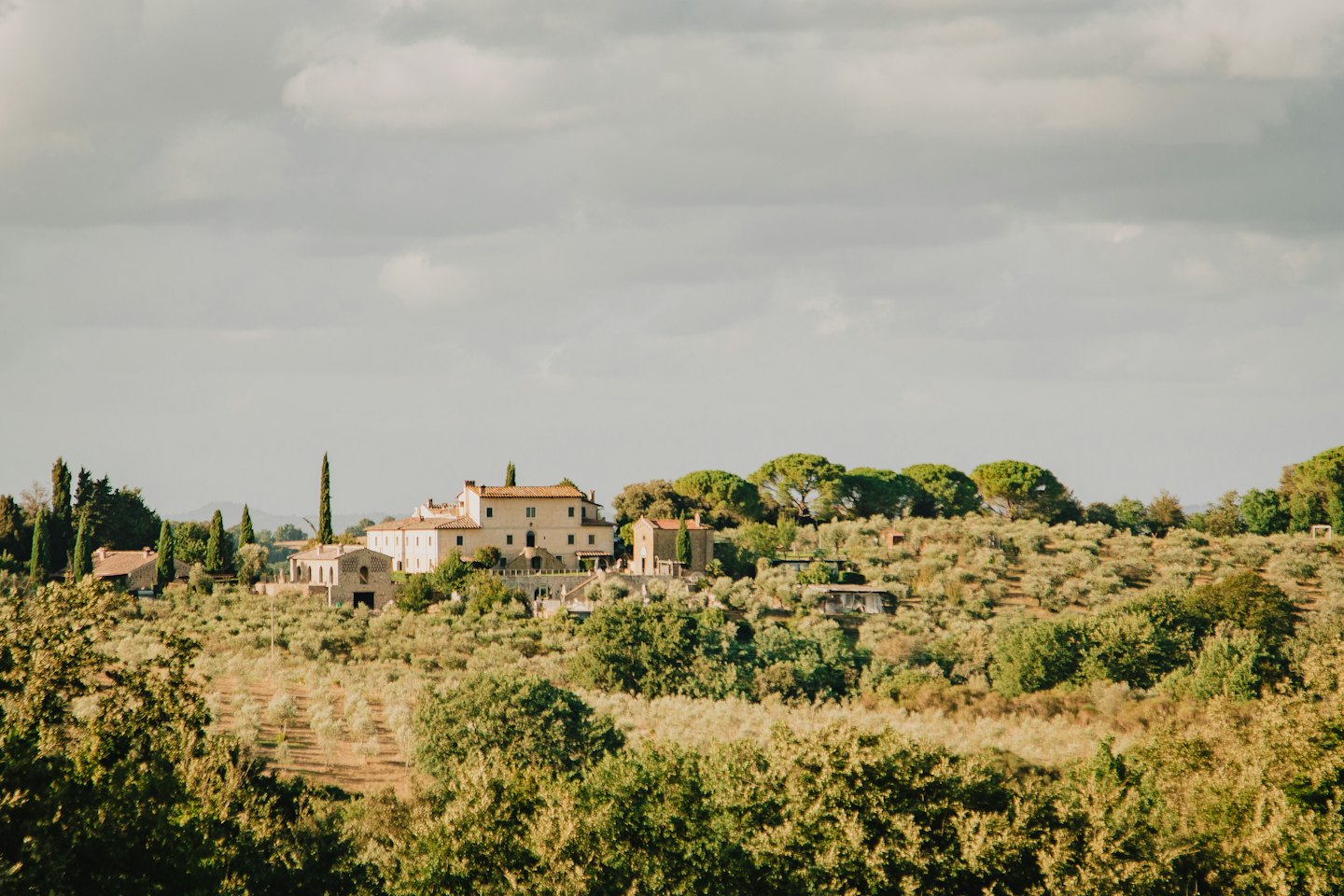 Villa complex with terracotta roofs on a hillside surrounded by olive groves.